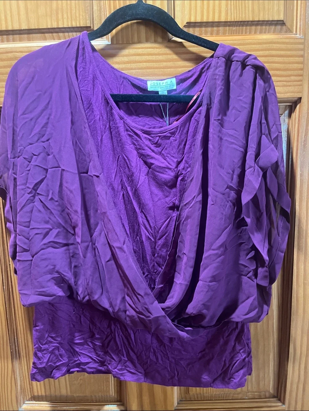 Joseph A Plum Draped V-Neck Blouse
